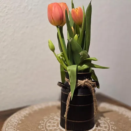 Huthaus Zum Molchner Stollen