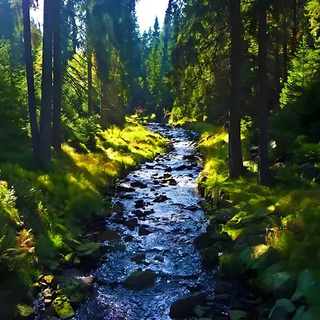 Huthaus Zum Molchner Stollen Gasthof Pobershau
